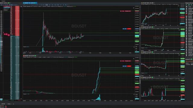 7-Bidusdt-Long-Stoploss-09-06-2025-13-02-22