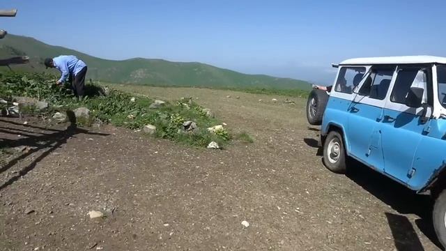 Շամշադինի համը