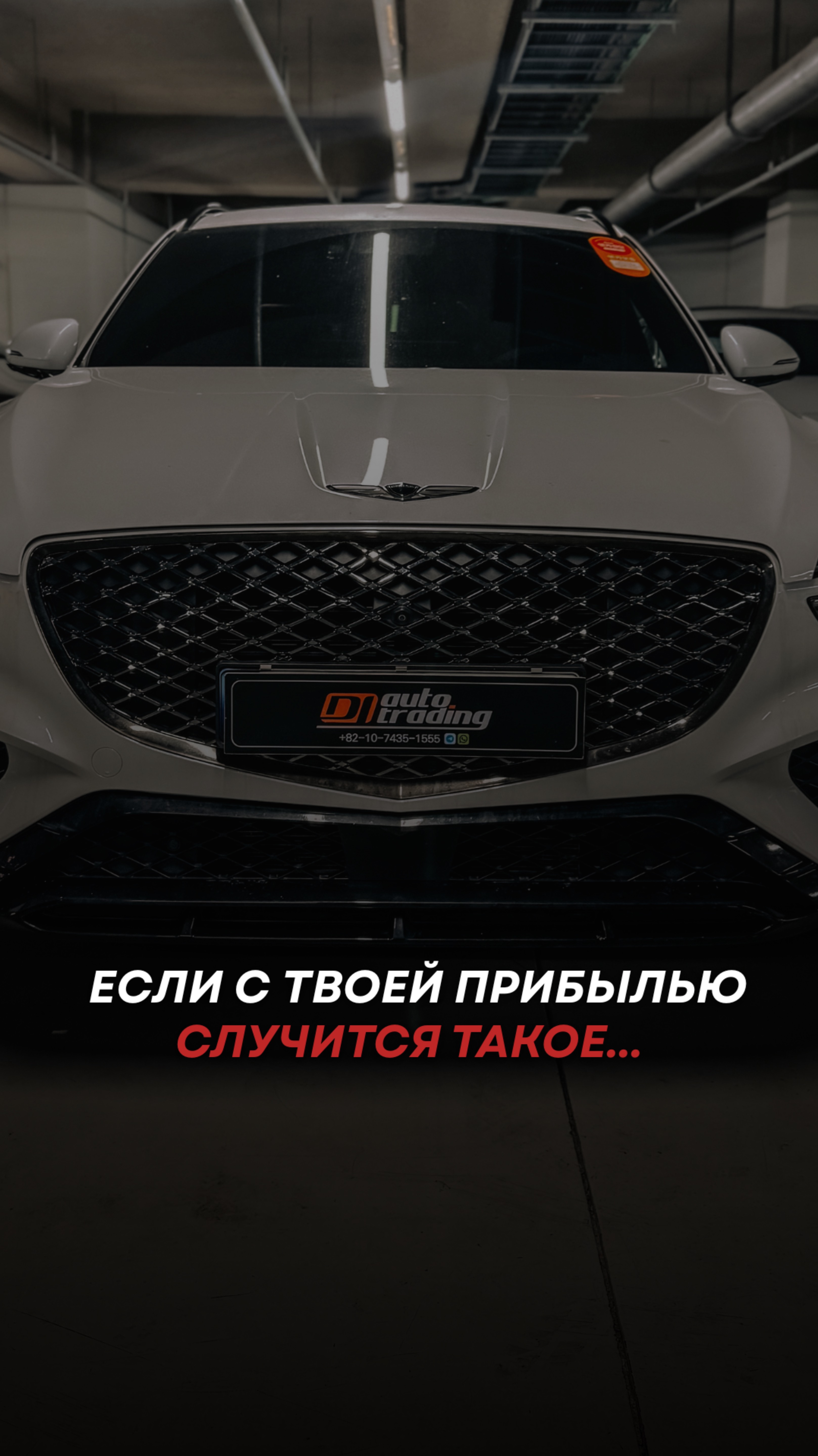 Хотите зарабатывать на поставках авто, но не знаете, с чего начать?