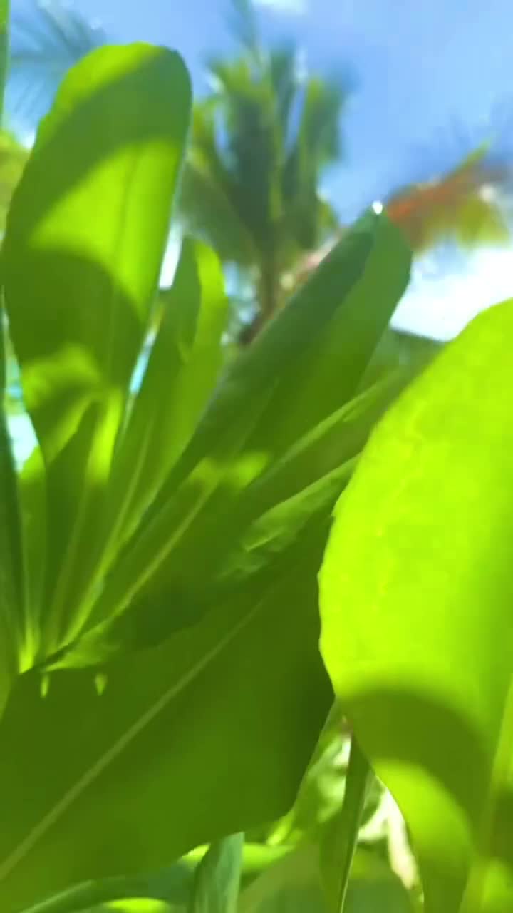 #вода