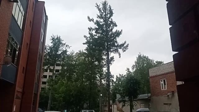 Дождь идёт не просто так… Он что-то скрывает