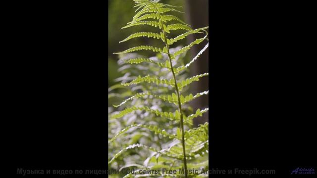 Звуки, которые превратят вас в сверхчеловека - проверьте! - outdated 9 -- Ov Moi Omm -- Unnamed albu