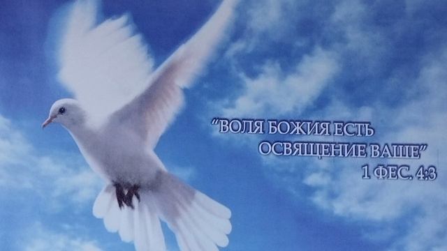 Старайтесь о пище