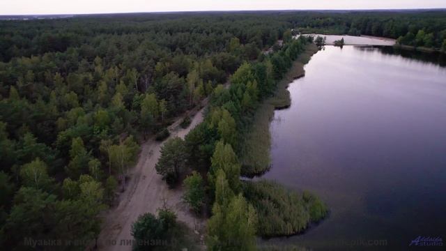 Эта композиция - как шёпот в темноте, от которого дрожь... - Shines Through Trees -- Podington Bear