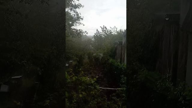 1000030013.mp4 .14 июня 2025 года. Чудеса природы.