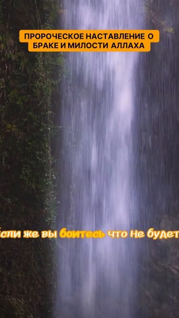 Пророческое наставление о браке и милости Аллаха