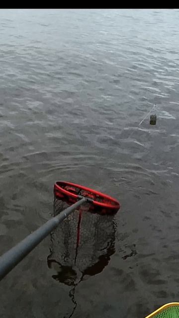1000010286.mp4