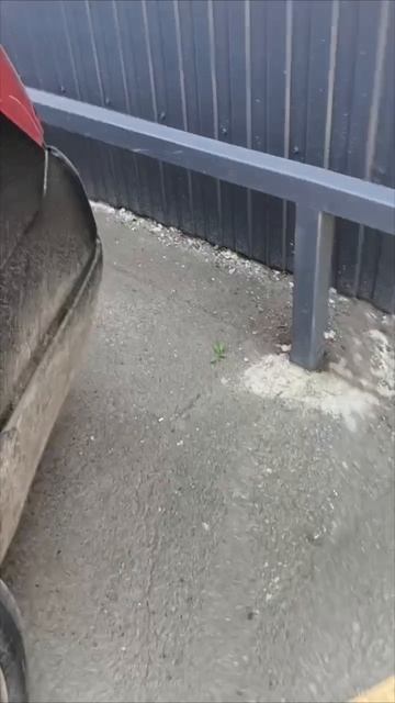 выхлоп спорт
