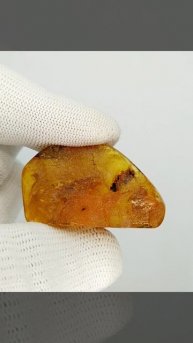 Балтийский янтарь