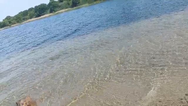 1000092599.mp4
