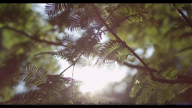 Эта мелодия - как мост между двумя душами... - 20 Minute Meditation 12 -- HoliznaCC0 -- Space - Slee