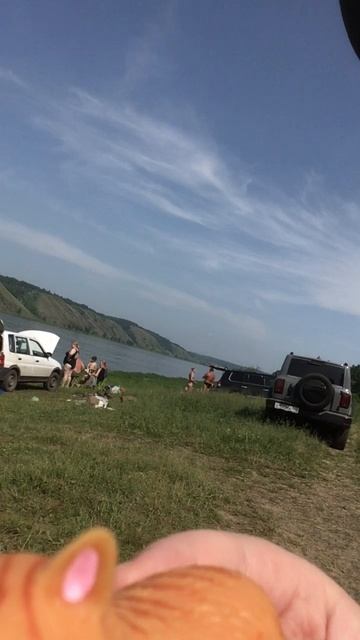 Кот взломал мой канал