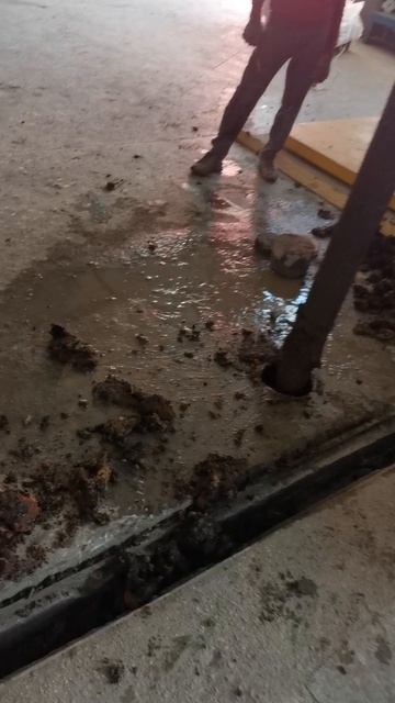 VID_20250611_153218.mp4