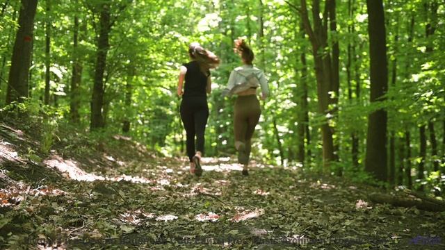 Звук раскрывает природу так, что перехватывает дыхание - In A Good Place -- Tadz -- Soul Symphonies