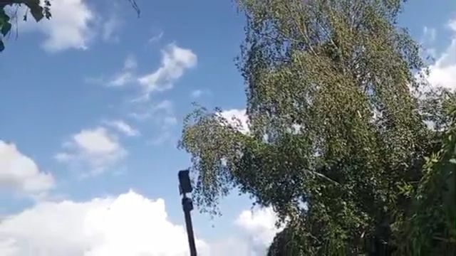 1000008411.mp4