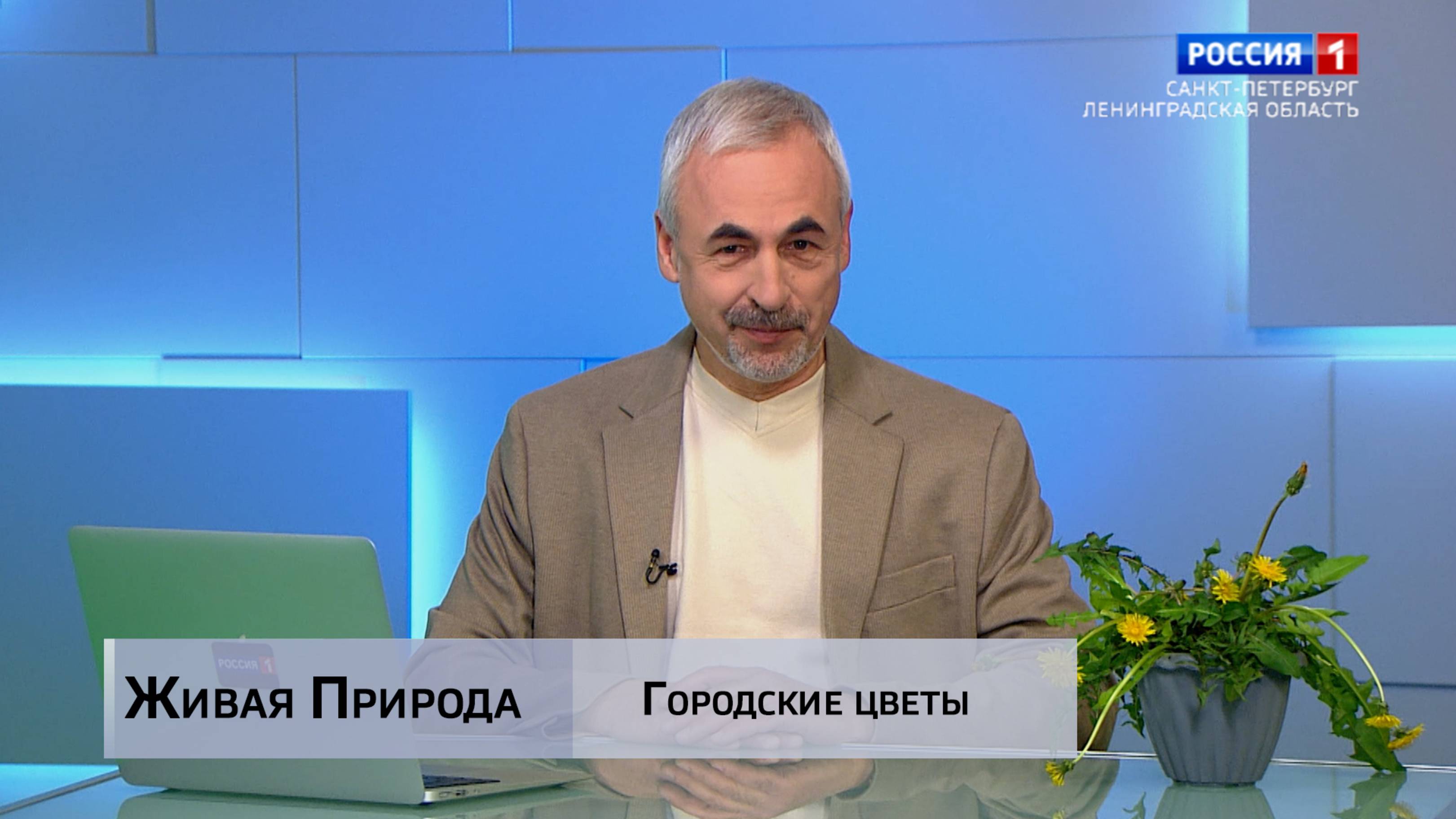Живая природа. "Городские цветы"