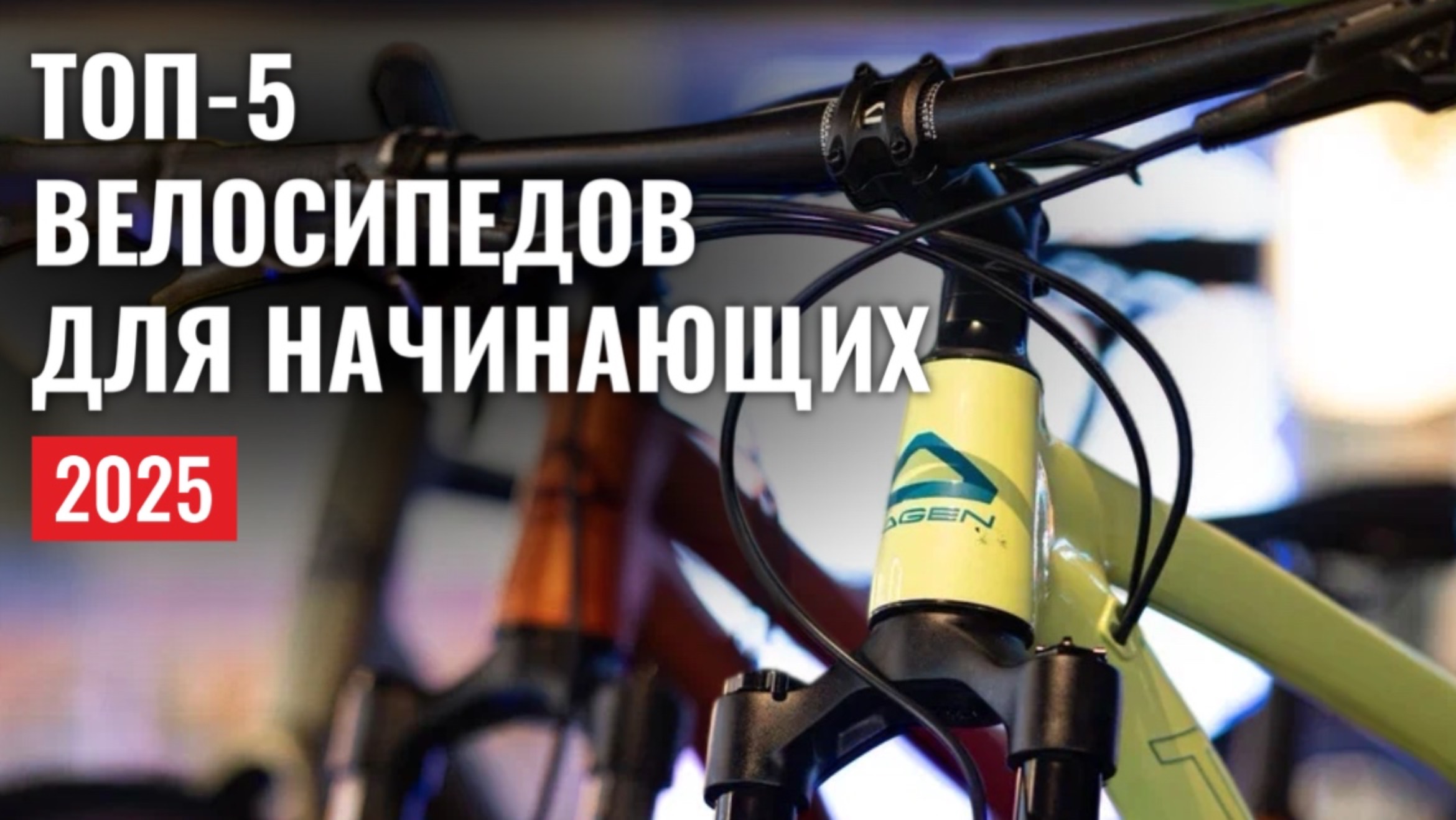 Какой велосипед купить новичку в 2025? Подборка лучших велосипедов для начинающих