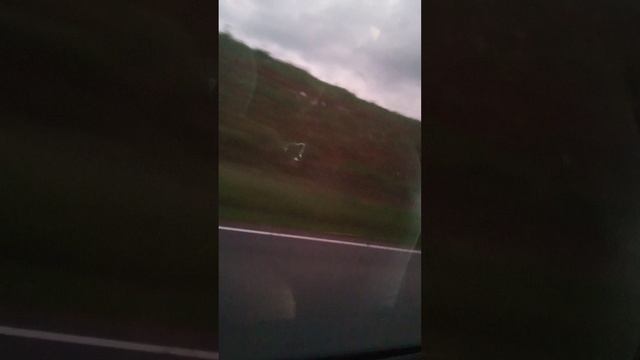 Погода 🌧️ 14 июня и дроны убийцы