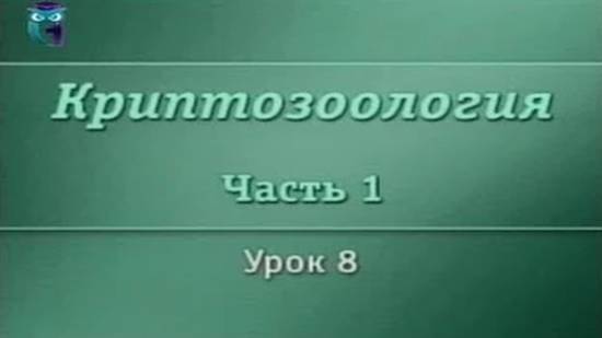 Криптозоология. Урок 1.8. Кракены и спруты. Тайна раскрыта