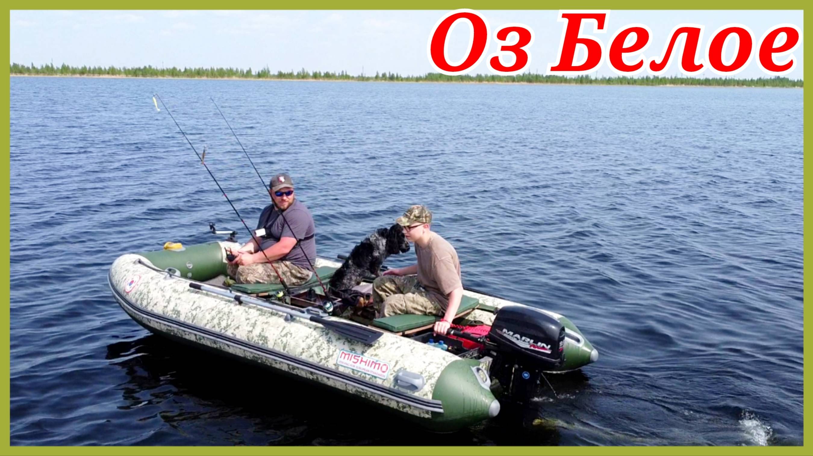 Озеро белое, Нижневартовск. Попали на щуку до одного кг.