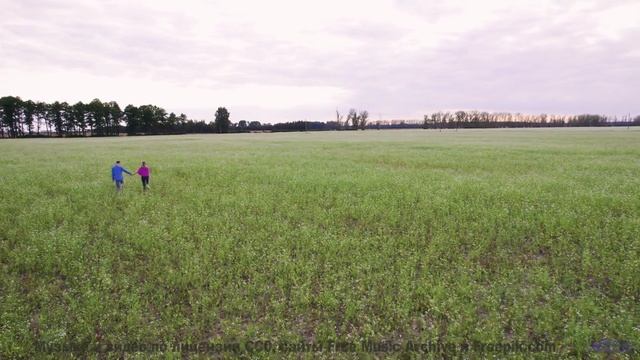 Звук, который слышат только избранные. - Frieden -- Ketsa -- Dimensions
