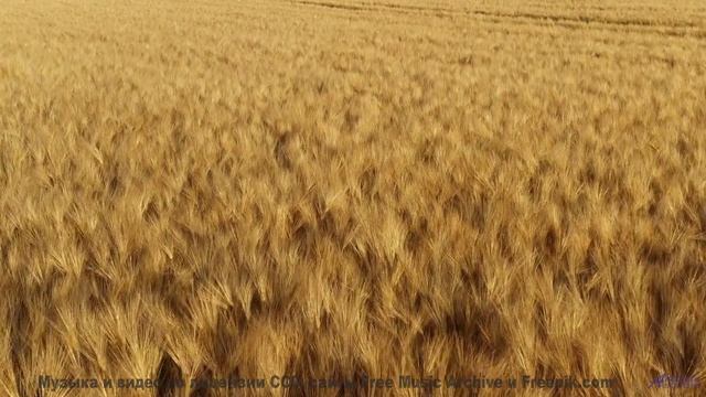 Музыка превращает видео в личный полёт - Black Kracougol -- Benjamin Bret -- Black Kracougol