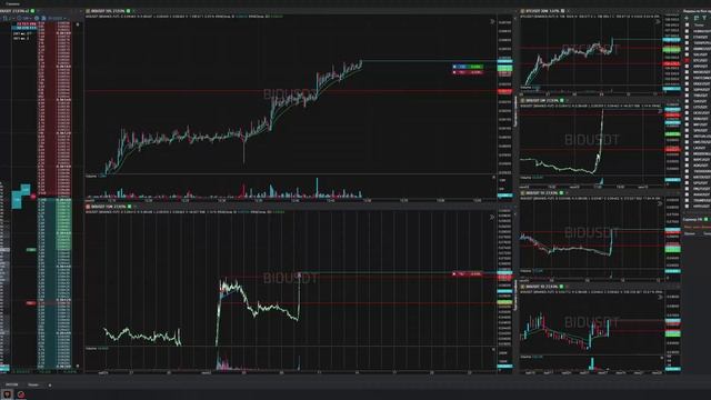 5-Bidusdt-Long-Profit-09-06-2025-12-47-58