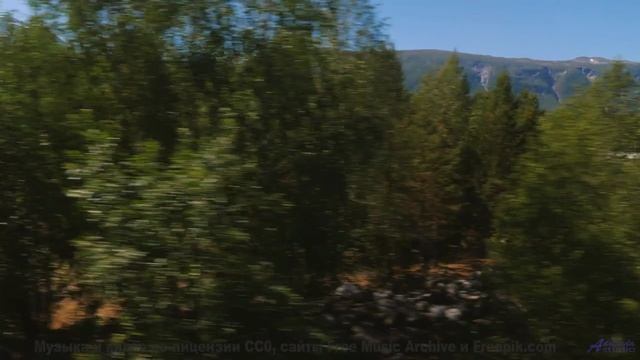 Природа в 360° VR - полное погружение в будущее! - Who is That -- J Hacha De Zola -- Antipatico