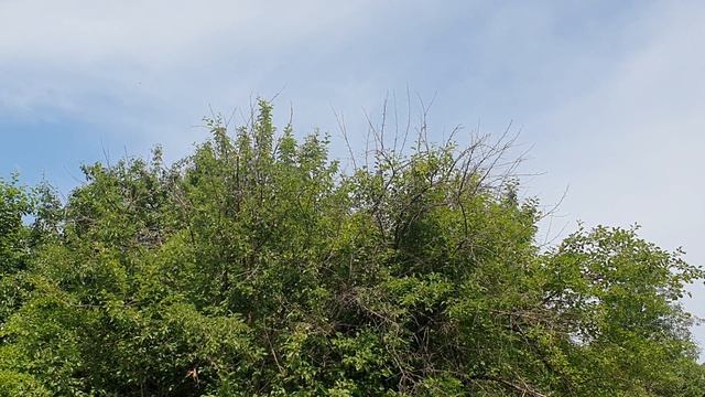 Жарко...очень