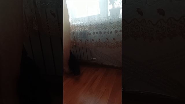 Мне очень  нужно туда ..😼