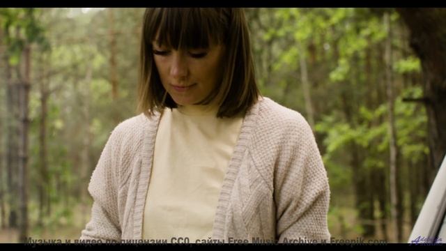 Включите этот трек - и каждый километр станет историей вашей любви - No Use for the Sun -- Plates Of