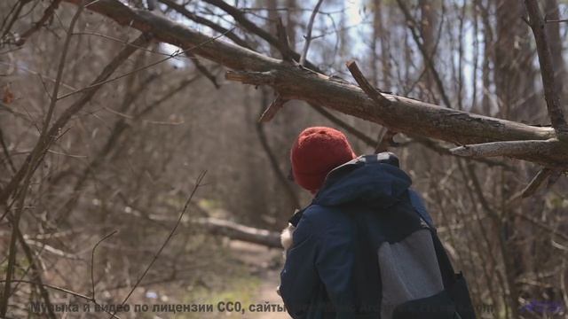 Музыка течёт сквозь поля, как река в сердце - Leave the Bottle -- Forget the Whale -- You. Me. Talk.