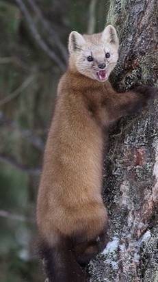 iТо,чего люблю…😉