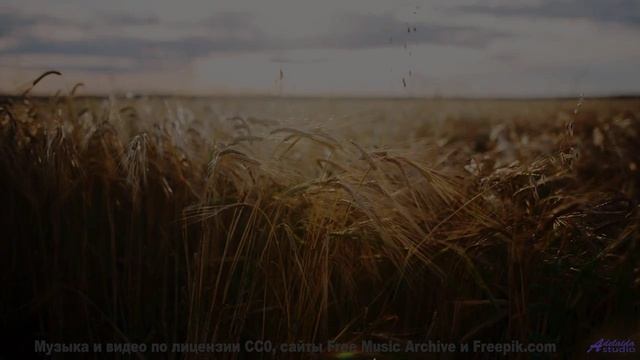 Музыка качает внутри, как буря качает облака - Brickfield Nights -- Duncan Reid and the Big Heads --