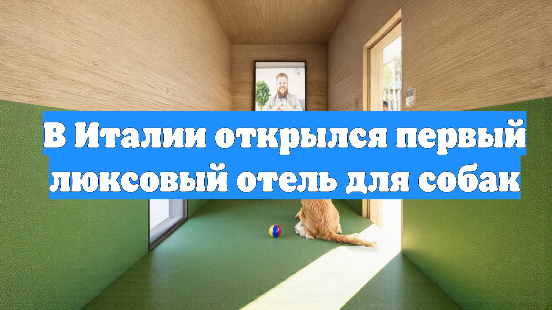 В Италии открылся первый люксовый отель для собак