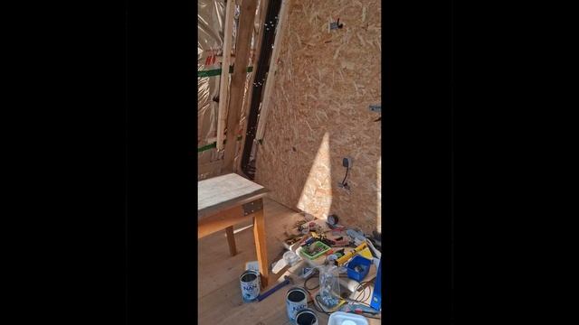 1000026621.mp4 (Собака слушает о планировании крепления  имитации бруса внутри дома А-фрейм)