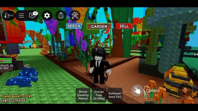 играю в \Grow a garden/Roblox/выпал подсолнух?