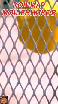 Наткнулся на ОЧЕНЬ ТУПОГО мошенника #мошенникивсети #цыгане