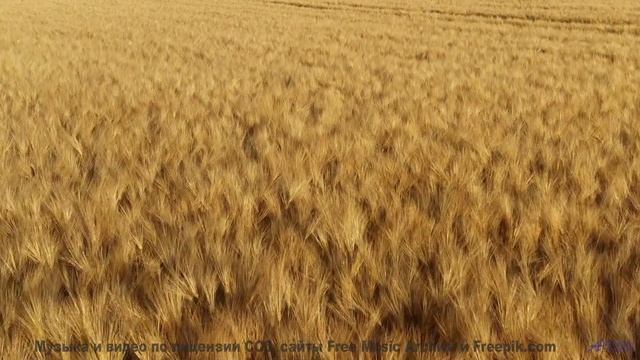 Саунд проникает в душу быстрее любого ветра - Living Life -- Scott Holmes Music -- Indie-Pop + Acous