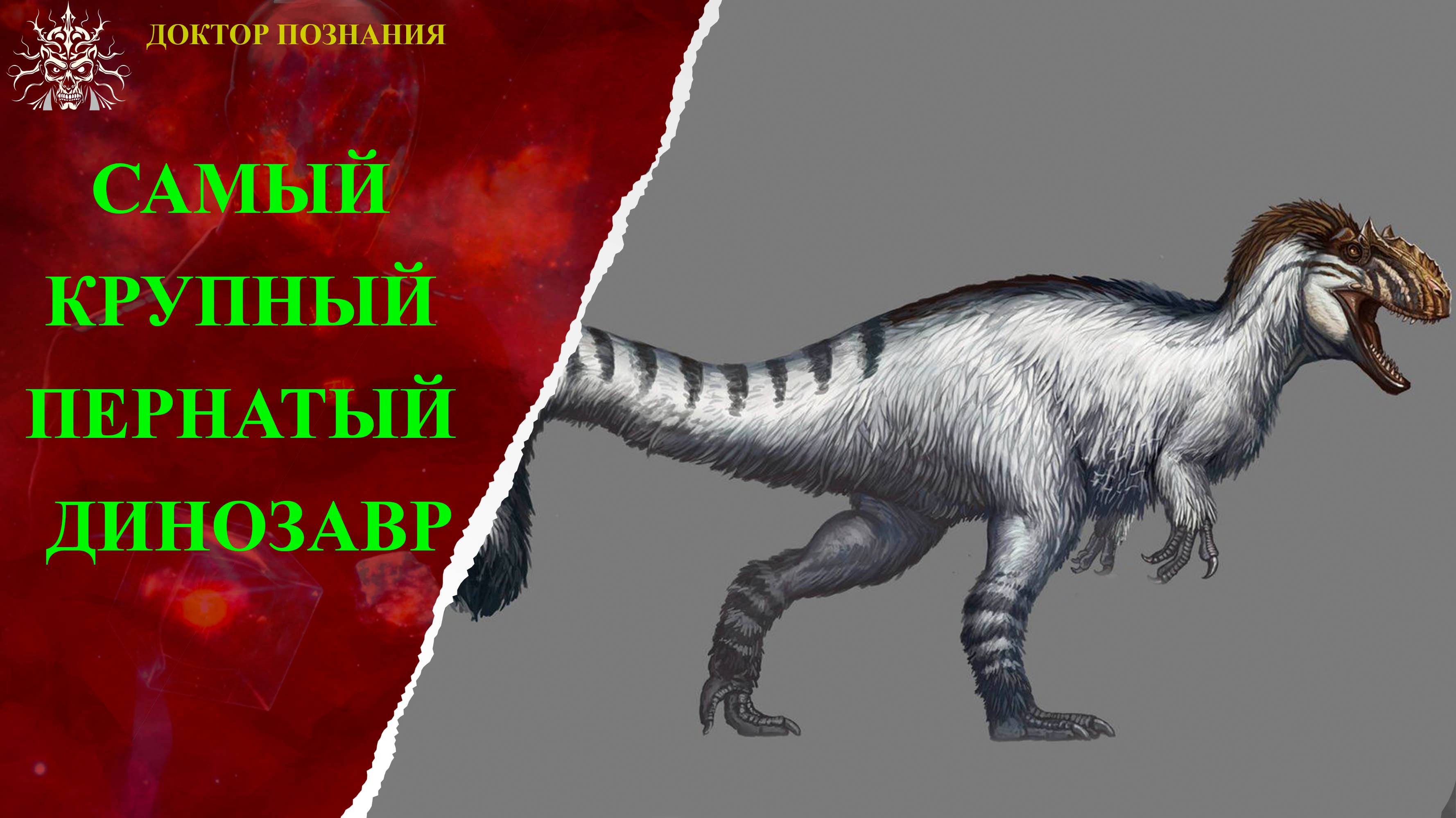 Самый крупный пернатый динозавр.