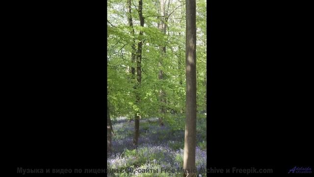 Поля и саунд рождают эмоции без границ - Ukulele Whistle -- Scott Holmes Music -- Happy Background M