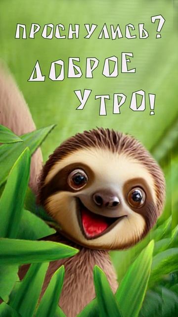 доброе утро