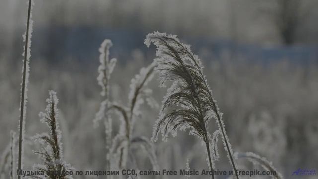 Ты почувствуешь, как что-то щелкает внутри после просмотра! - Despite What You Said -- Knit Your Own