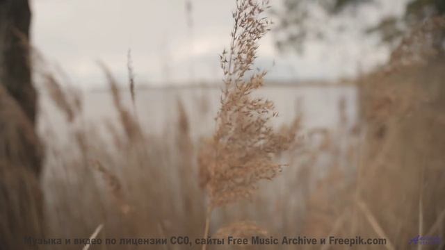 Эта мелодия - голос из иного мира! - Could what, become before why -- Julia Felix -- Unnamed album