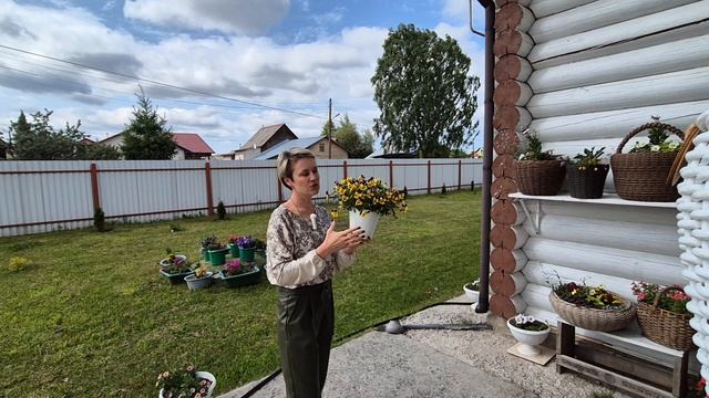 Пора подумать над ассортиментом семян для будущего сезона.