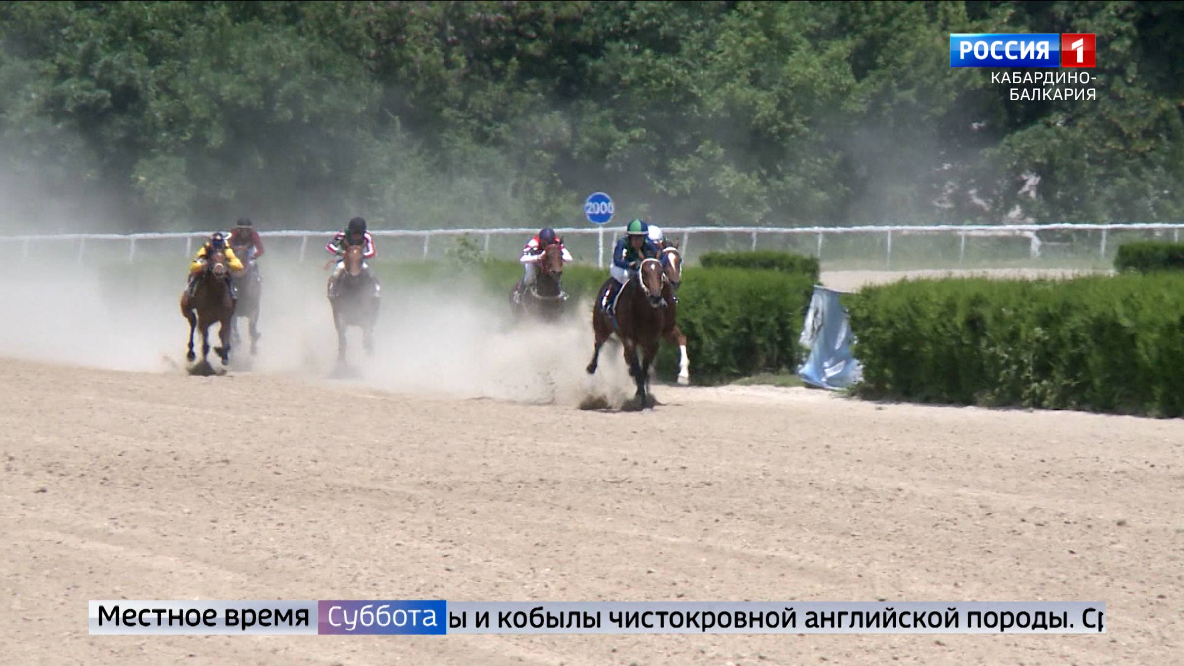 На Нальчикском ипподроме организовали конноспортивный праздник