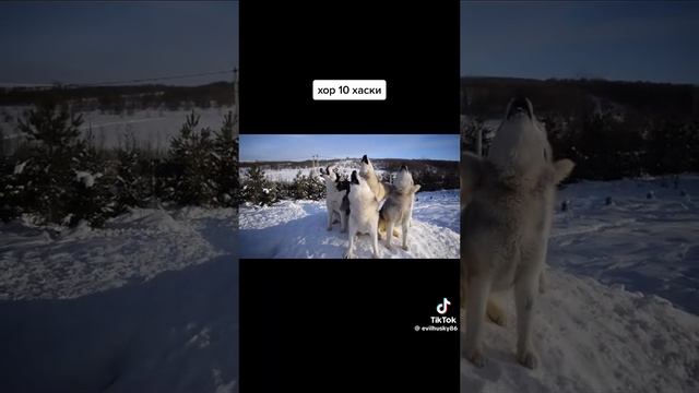 1000002110.mp4