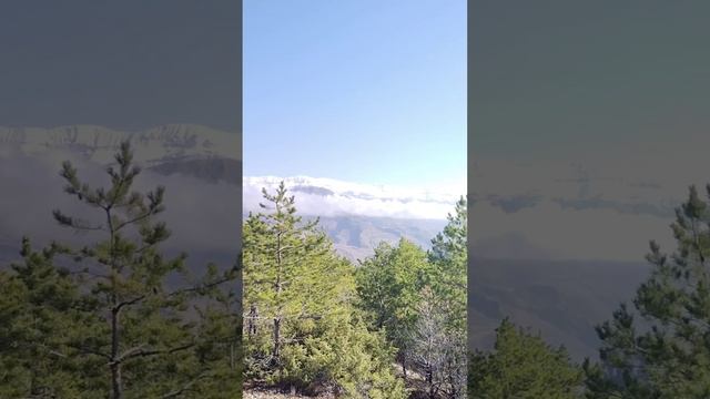 Путешествия на мотоциклах 2025г