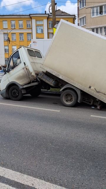 Газель устала ....... и больше не хочет