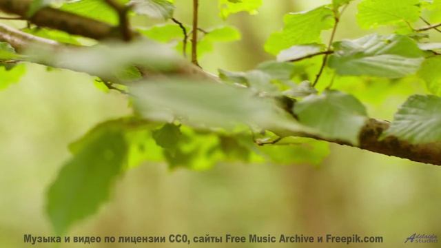 Этот саундтрек - как бриз, который касается вашей души! - Western Vestibules -- Blue Sky Moon -- I U